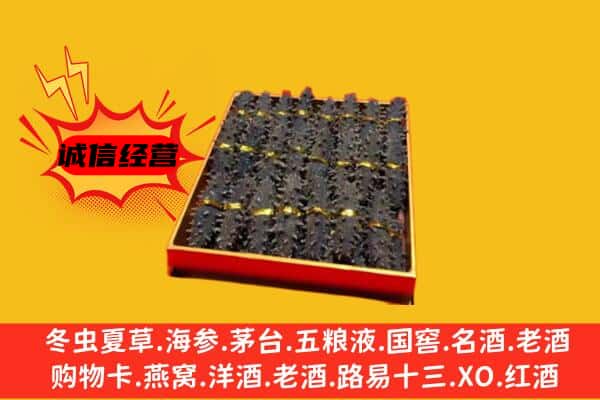 河源市紫金回收海参